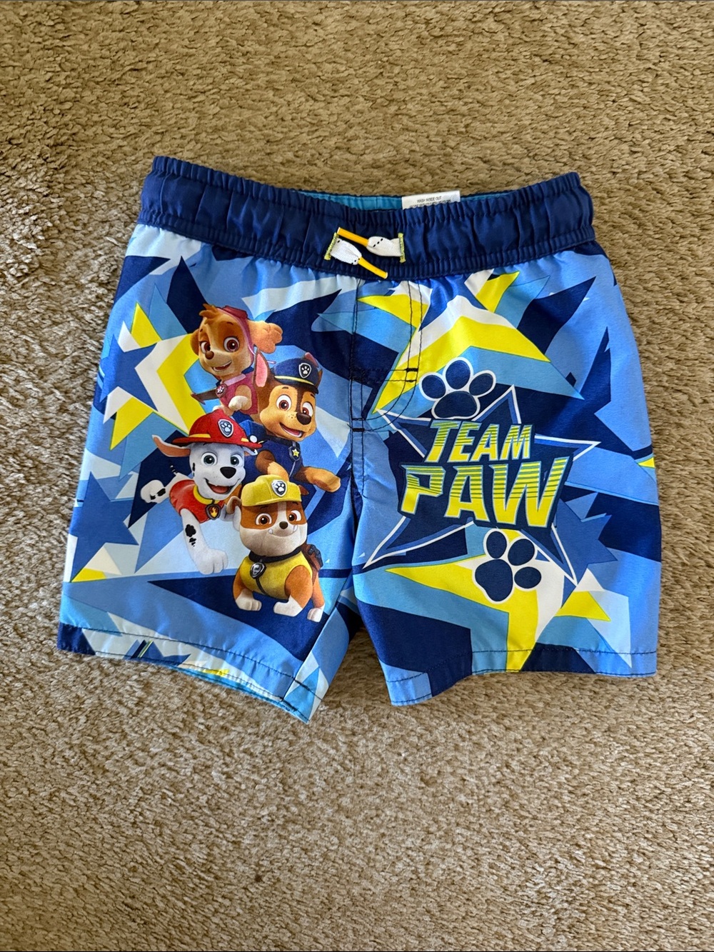 Paw Patrol Blue Yellow Team Paw Kids Swim Trunks 4t